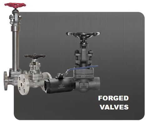 Forged Valves